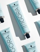 Schwarzkopf Professional IGORA Royal Highlifts színező krém a szőke hideg árnyalataiért árnyalat 10-1 60 ml