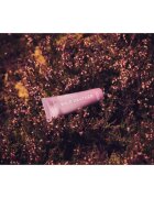 Scottish Fine Soaps Wild Heather kézkrém 30 ml