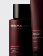 Sebastian Professional Penetraitt maszk sérült vegyileg kezelt hajra 145 ml
