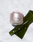 Shiseido Benefiance Wrinkle Smoothing Cream nappali és éjszakai krém ráncok ellen minden bőrtípusra 50 ml