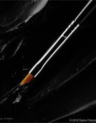 Sigma Beauty Eyes E06 WINGED LINER™ BRUSH szemhéjfesték ecset 1 db