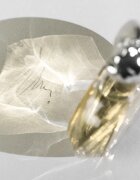 Sisley Soir de Lune Eau de Parfum hölgyeknek 50 ml