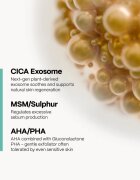 SKINSOO PurifyCell Exosome Toner nyugtató tonikum a faggyútermelés szabályozására 200 ml