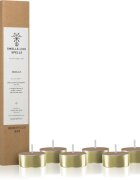 Smells Like Spells Norse Magic Frigga teamécses (home/partnership) 6 db