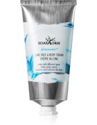 Soaphoria Dermacare+ Zinc regeneráló krém testre és arcra 75 ml