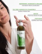 Soaphoria Hair Care Organic Shampoo folyékony organikus sampon zsíros hajra 250 ml