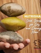 Soaphoria Hair Care Solid Shampoo organikus szilárd sampon száraz és sérült hajra 60 g