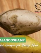 Soaphoria Hair Care Solid Shampoo organikus szilárd sampon zsíros hajra 60 g