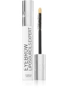 Talika Eyebrow Liposourcils Expert szemöldök növekedést stimuláló szérum 10 ml