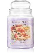 THD Vegetal Pepe Rosa E Caffe illatgyertya 600 g