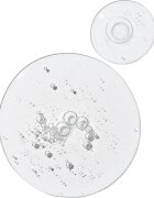The Ordinary Multi-Peptide Eye Serum élénkítő szemszérum peptidekkel 15 ml