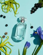 Tiffany & Co. Sheer Eau de Toilette hölgyeknek 50 ml