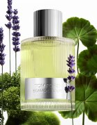 TOM FORD Beau de Jour Eau de Parfum uraknak 100 ml