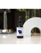 Tomas Arsov Sapphire Toning Drops hajápolás szőkített melírozott hideg szőke hajra 30 ml