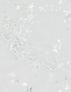 Topicrem UH FACE Gentle Micellar Water finoman tisztító micellás víz az érzékeny arcbőrre és szemekre 400 ml