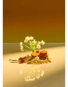 Tree Hut Shea Sugar Scrub Santal Haze cukros test peeling 510 g