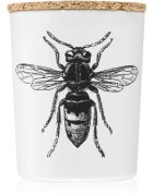 Vila Hermanos Insect Calabrone illatgyertya 75 g