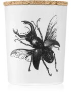 Vila Hermanos Insect Lucanus Cervus illatgyertya 75 g