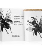 Vila Hermanos Insect Lucanus Cervus illatgyertya 75 g