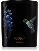 Vila Hermanos Jungletopia Hummingbird illatgyertya 200 g