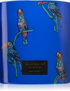 Vila Hermanos Jungletopia Rain Forest illatgyertya 620 g