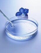 Weleda Exo Boost fiatalító arcszérum 30 ml