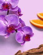 Weleda Mystic Aura illatosított haj- és testpermet hölgyeknek 95 ml