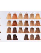 Wella Professionals Color Touch Deep Browns hajfesték árnyalat 5/75 60 ml