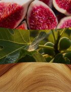 Woodwick Verdant Fig illatgyertya fa kanóccal 610 g