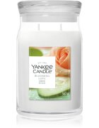 Yankee Candle Blooming Love illatgyertya 567 g