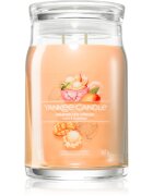 Yankee Candle Mango Ice Cream illatgyertya Signature 567 g