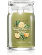 Yankee Candle Sage & Citrus illatgyertya Signature 567 g
