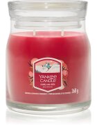 Yankee Candle Santa On Skis illatgyertya 368 g