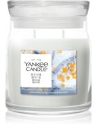 Yankee Candle Silver Birch illatgyertya 368 g