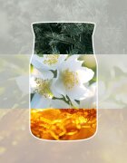 Yankee Candle Silver Birch illatgyertya 368 g