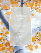 Yankee Candle Silver Birch illatgyertya 368 g