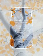 Yankee Candle Silver Birch illatgyertya 368 g