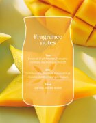 Yankee Candle Starfruit & Sunshine illatgyertya 567 g