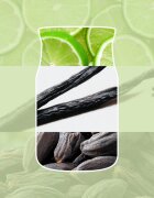 Yankee Candle Vanilla Lime illatgyertya Signature 567 g