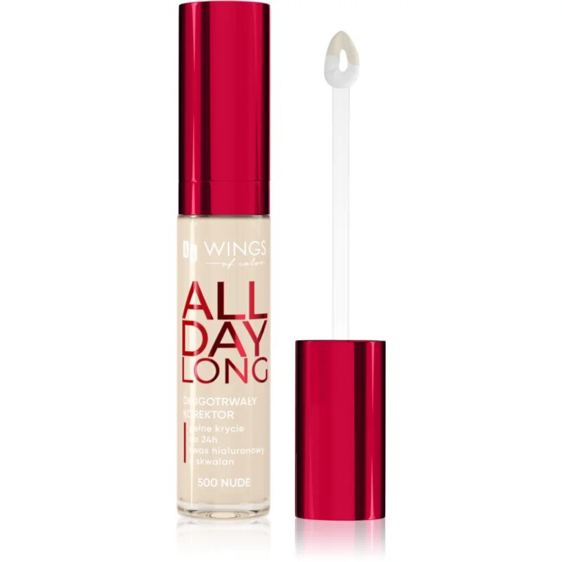 AA Wings of Color All Day Long Long Lasting Concealer folyékony korrektor árnyalat 500 Ivory 6.2 g