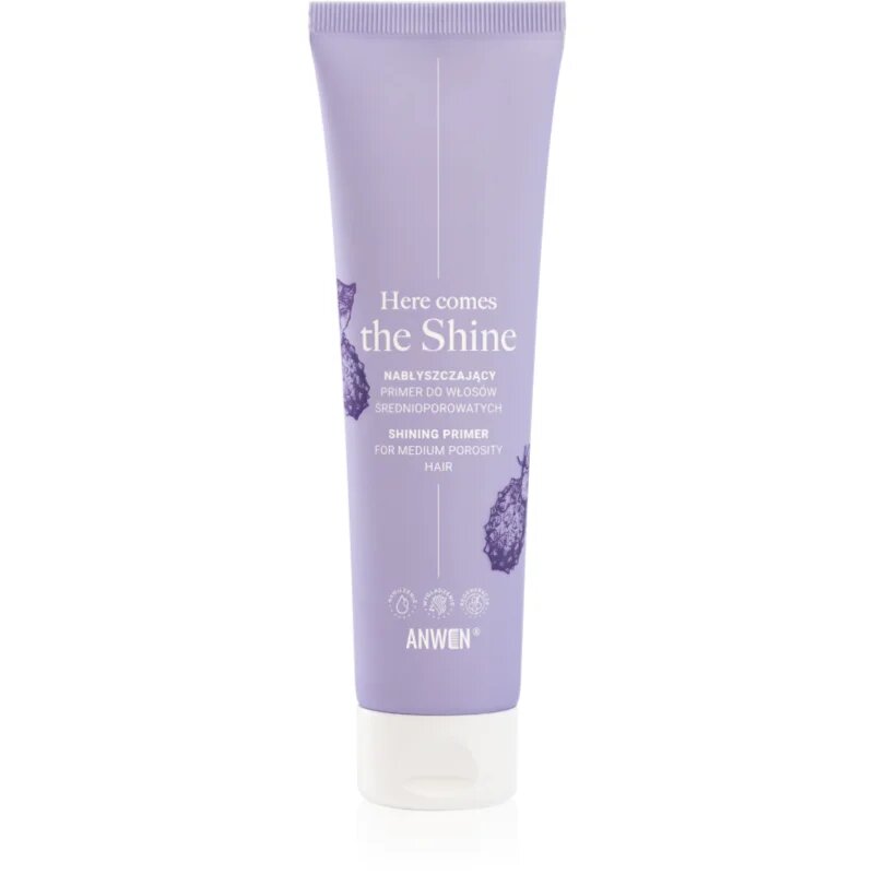 Anwen Here Comes The Shine Shining Primer For Medium Porosity Hair Egységesítő sminkalap hajra 100 ml
