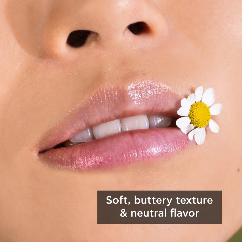 Apivita Lip Care Chamomile SPF15 hidratáló ajakbalzsam SPF 15 4.4 g