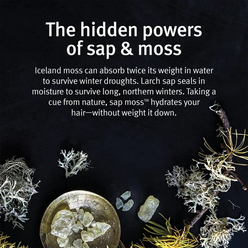 Aveda Sap Moss™ Weightless Hydrating Conditioner hidratáló kondicionáló töredezés ellen 200 ml