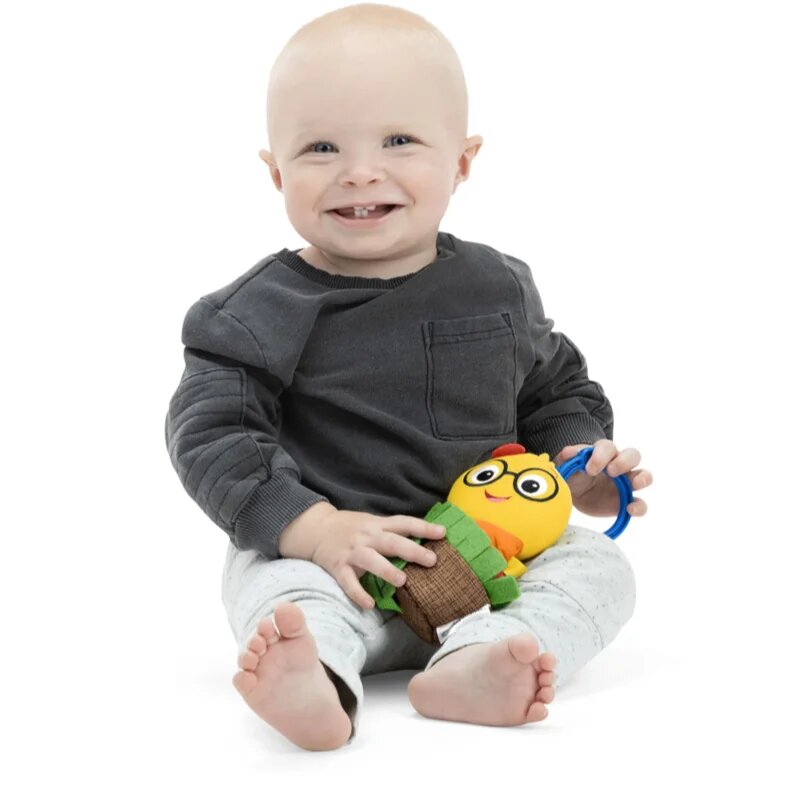 Baby Einstein Cal-a-Puller™ játék csörgővel 0m+ 1 db