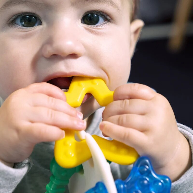 Baby Einstein Ocean Explorers Sea of Sensory Teether Toy rágóka 3 m+ 1 db