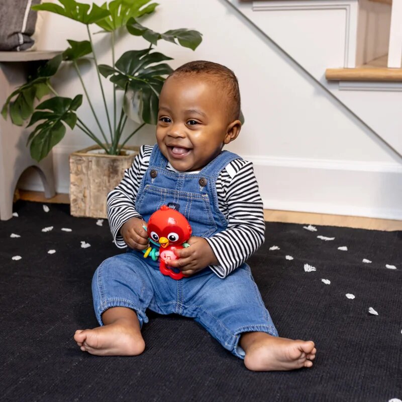Baby Einstein Roxy's Bright Flight™ zenélő játék 3m 1 db