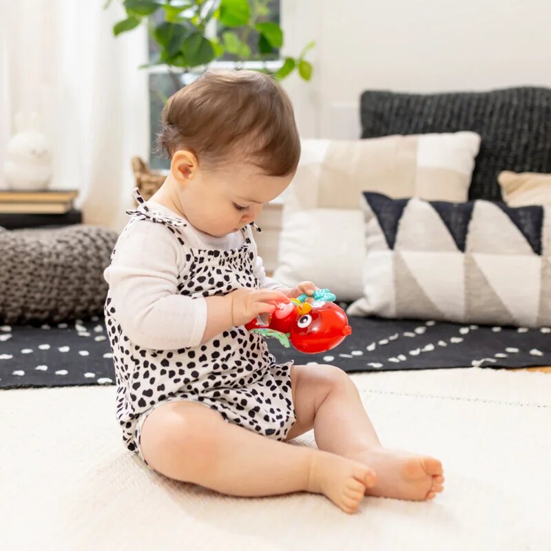 Baby Einstein Roxy's Bright Flight™ zenélő játék 3m 1 db