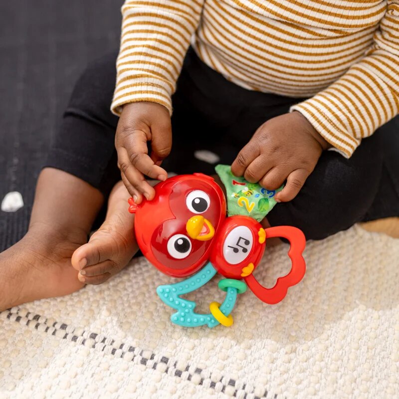 Baby Einstein Roxy's Bright Flight™ zenélő játék 3m 1 db