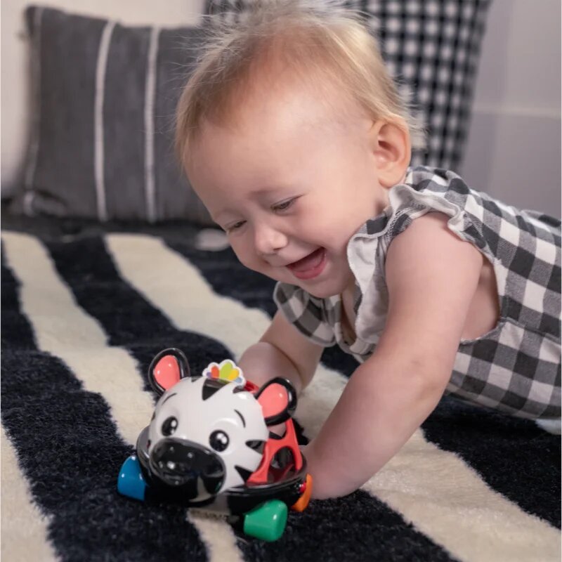 Baby Einstein Zen the Zebra™ Curious Car kisautó csörgővel 3 m+ 1 db