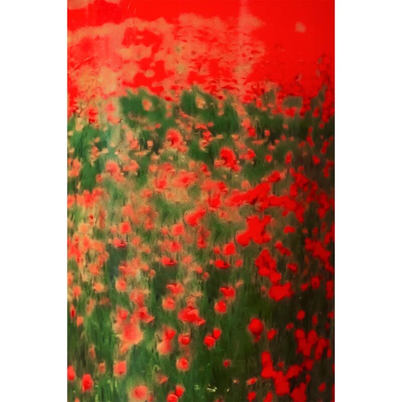 Baobab Collection Arty Flowers Poppies illatgyertya 500 g